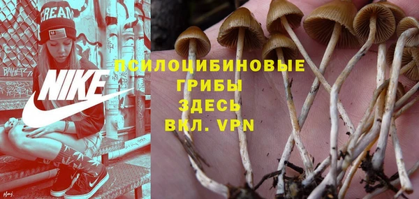 бошки Балахна