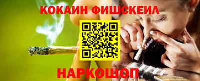индика Можга