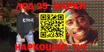 индика Можга