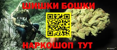 индика Можга