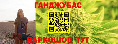 индика Можга