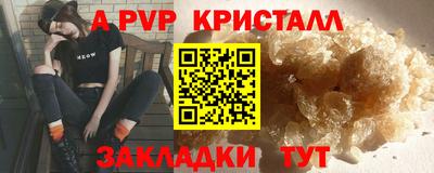 индика Можга