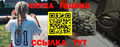 индика Можга
