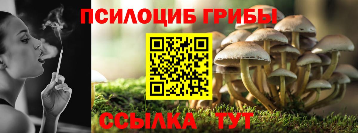 Галлюциногенные грибы GOLDEN TEACHER  Галлюциногенные грибы мухоморы  Саки  Вход с VPN 