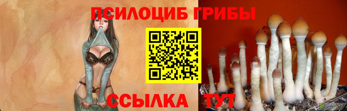 Галлюциногенные грибы GOLDEN TEACHER Саки