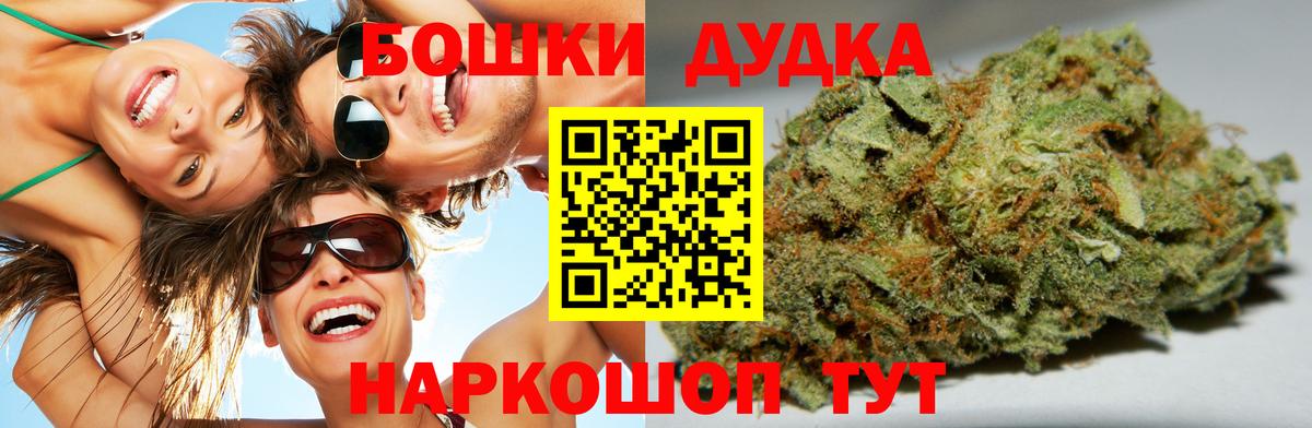 Бошки Шишки план Саки